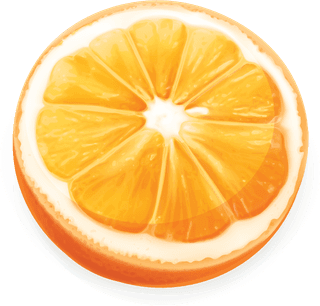 orangejuice-elements-vector-illustration-555815