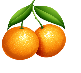 orangesand-orange-products-illustration-421756