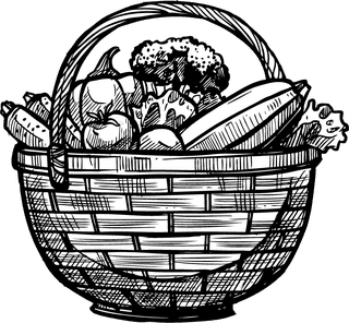 organicfarm-doodle-sketch-illustration-217904