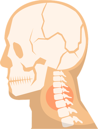 orthopedicscolor-icons-set-802169