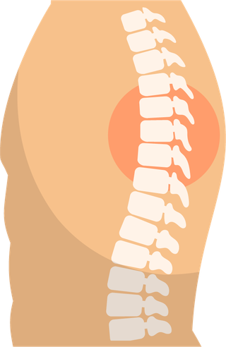 orthopedicscolor-icons-set-474340