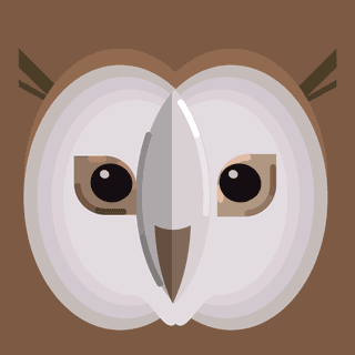 owlfaces-backgrounds-colorful-flat-symmetric-closeup-design-669173