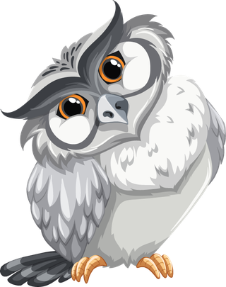 owlset-wild-animals-740289