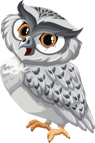 owlset-wild-animals-788826