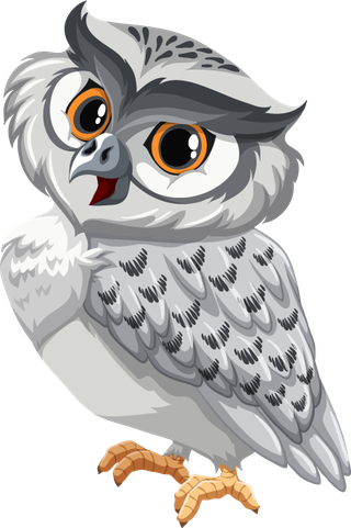 owlset-wild-animals-788826