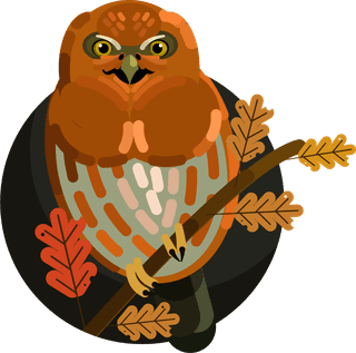 owlsicons-collection-colored-cartoon-sketch-463093