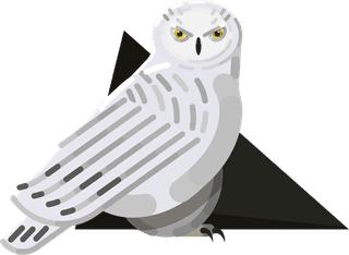 owlsicons-collection-colored-cartoon-sketch-589878