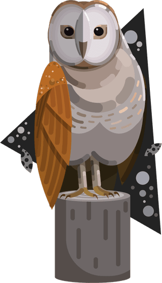 owlsicons-collection-colored-cartoon-sketch-215281
