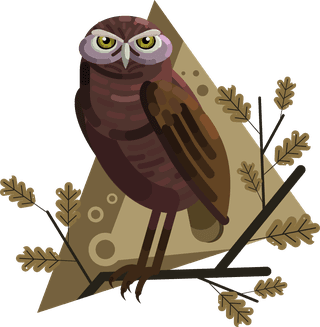 owlsicons-collection-colored-cartoon-sketch-100855