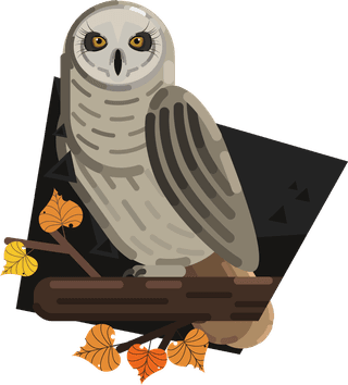 owlsicons-collection-colored-cartoon-sketch-908806