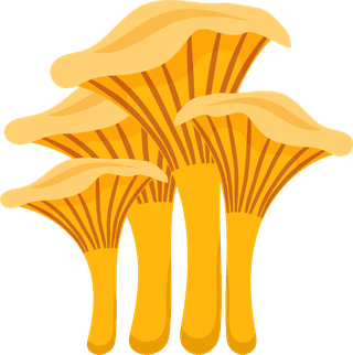 painteddifferent-mushrooms-edible-inedible-vector-illustration-159945
