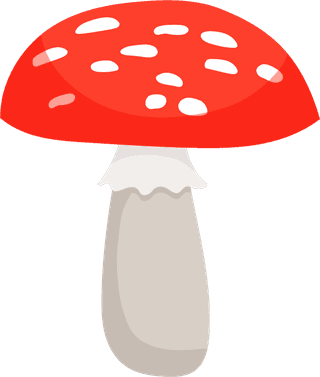 painteddifferent-mushrooms-edible-inedible-vector-illustration-478432