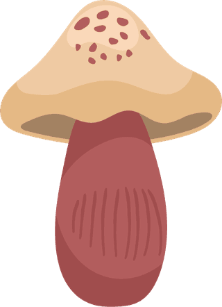 painteddifferent-mushrooms-edible-inedible-vector-illustration-194822