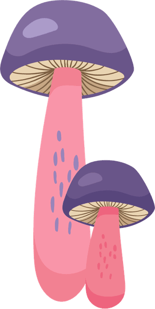 painteddifferent-mushrooms-edible-inedible-vector-illustration-93742