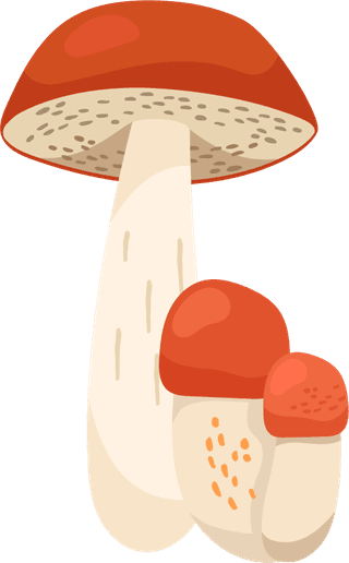 painteddifferent-mushrooms-edible-inedible-vector-illustration-669499