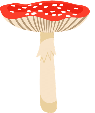 painteddifferent-mushrooms-edible-inedible-vector-illustration-824352