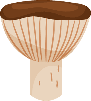 painteddifferent-mushrooms-edible-inedible-vector-illustration-726632