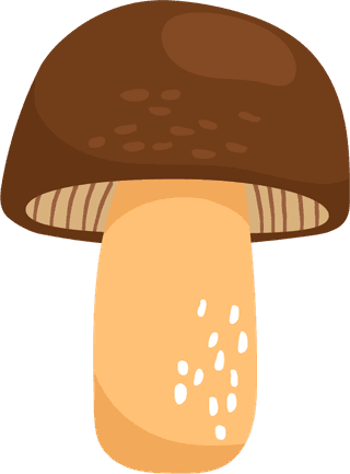 painteddifferent-mushrooms-edible-inedible-vector-illustration-381247