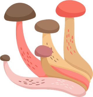 painteddifferent-mushrooms-edible-inedible-vector-illustration-412482