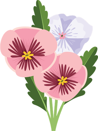 illustrationof-colorful-pansy-flowers-bouquet-164131