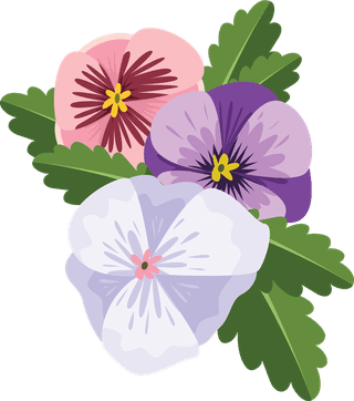 illustrationof-colorful-pansy-flowers-bouquet-166174