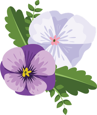 illustrationof-colorful-pansy-flowers-bouquet-149432