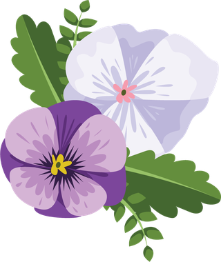 illustrationof-colorful-pansy-flowers-bouquet-149432