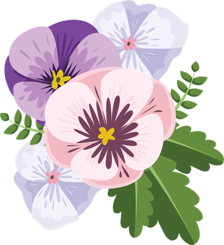 illustrationof-colorful-pansy-flowers-bouquet-157801