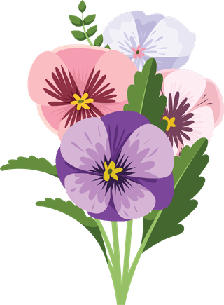 illustrationof-colorful-pansy-flowers-bouquet-162064