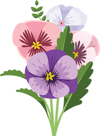 illustrationof-colorful-pansy-flowers-bouquet-162064