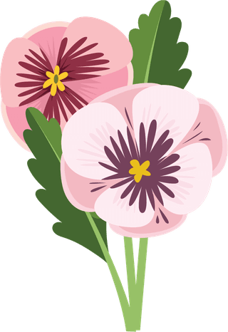 illustrationof-colorful-pansy-flowers-bouquet-155516