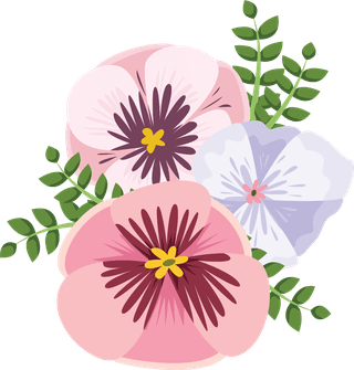 illustrationof-colorful-pansy-flowers-bouquet-159893