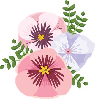 illustrationof-colorful-pansy-flowers-bouquet-159893