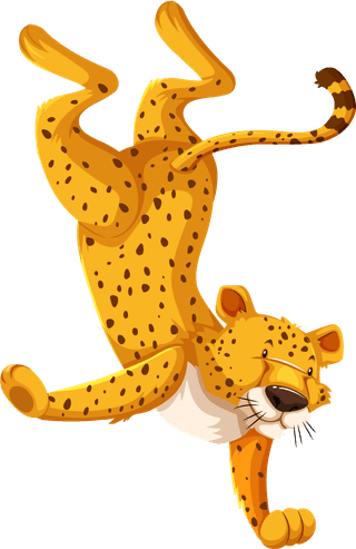 panthercheetah-cartoon-character-set-illustration-433628