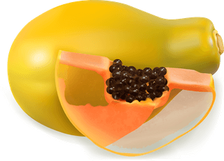 papayajuice-and-splash-vector-606696