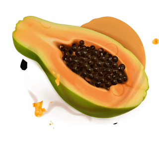 papayajuice-and-splash-vector-670137