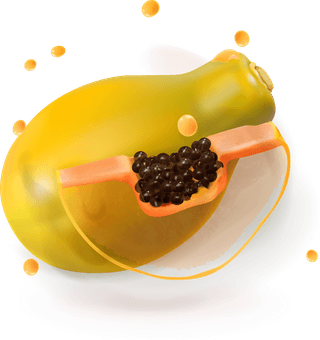 papayajuice-and-splash-vector-387564