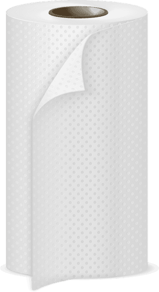 papertowels-toilet-rolls-realistic-250201