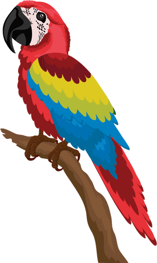 parrotbirds-species-icons-colorful-parrots-woodpecker-sketch-376602
