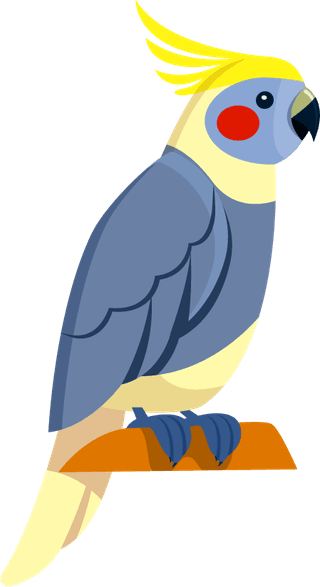 parrotbright-tropical-parrots-set-289705