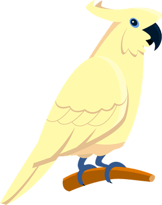 parrotbright-tropical-parrots-set-622129