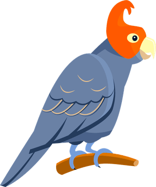 parrotbright-tropical-parrots-set-315535