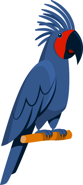 parrotbright-tropical-parrots-set-660664