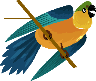 parrotparrot-species-icons-colorful-sketch-flying-perching-gestures-185432