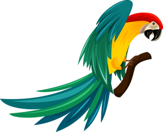 parrotparrot-species-icons-colorful-sketch-flying-perching-gestures-484880