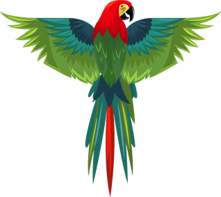 parrotparrot-species-icons-colorful-sketch-flying-perching-gestures-939934