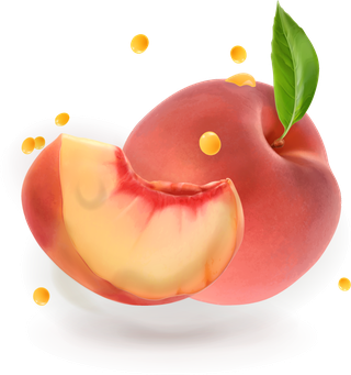 peachjuice-and-splash-vector-100491