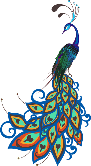 peacockparrots-species-icons-colorful-flat-sketch-113260
