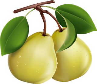 pearsome-fruits-vector-67972