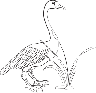 pencildrawing-bird-birds-species-black-white-handdrawn-sketch-570457